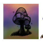 Mushroom Artwork by Amy Denise