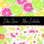 Citrus Slices - Mini Surface Pattern Collection by Amy Wade